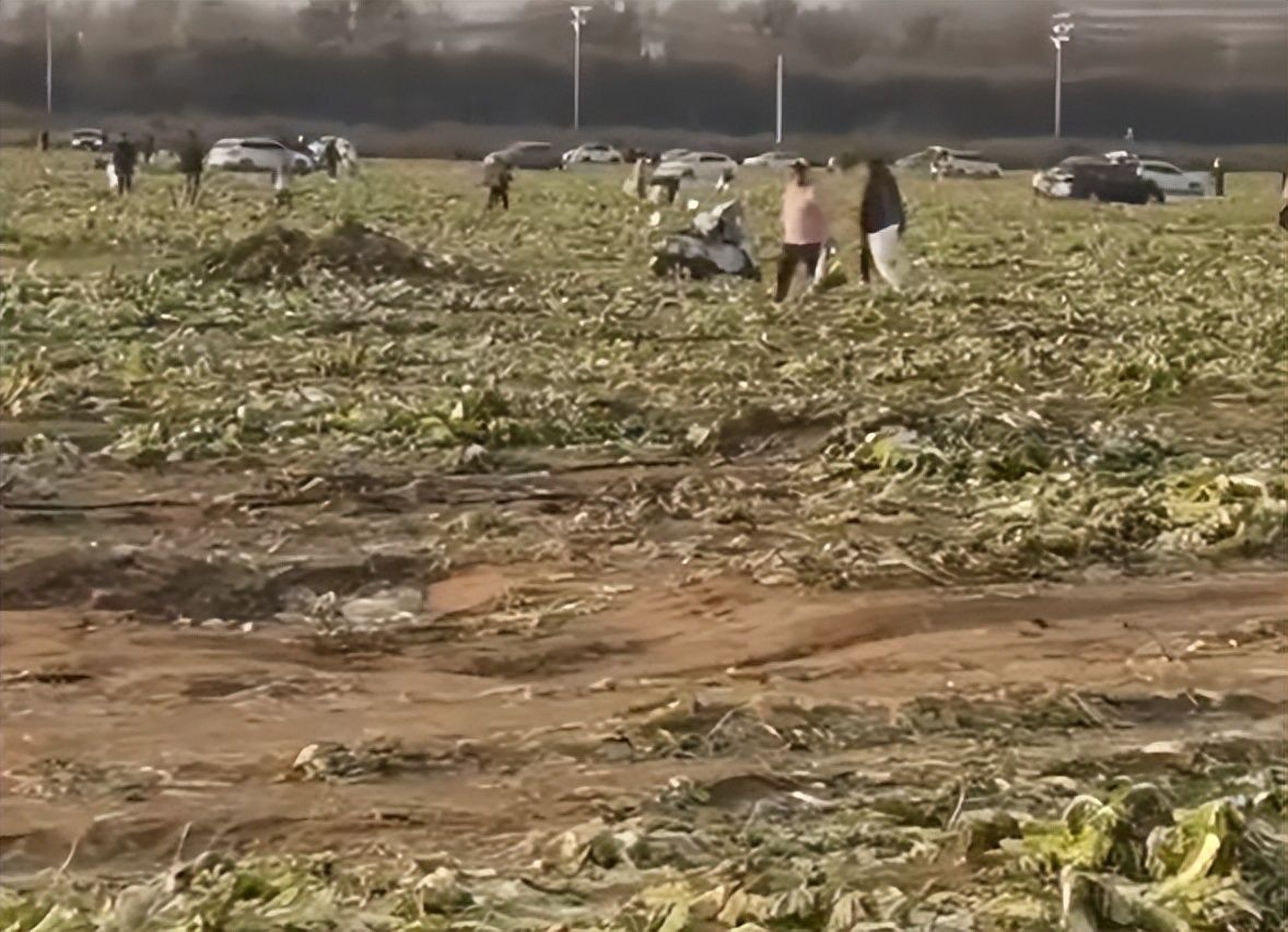 ���ײ����M(f��i)ժ��ҕ�l�������l(shu��)�����{��